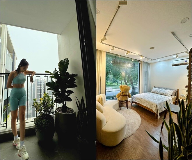 Vị trí đặt cây sống đời trong nhà giúp thu hút tài lộc và kích hoạt vận may