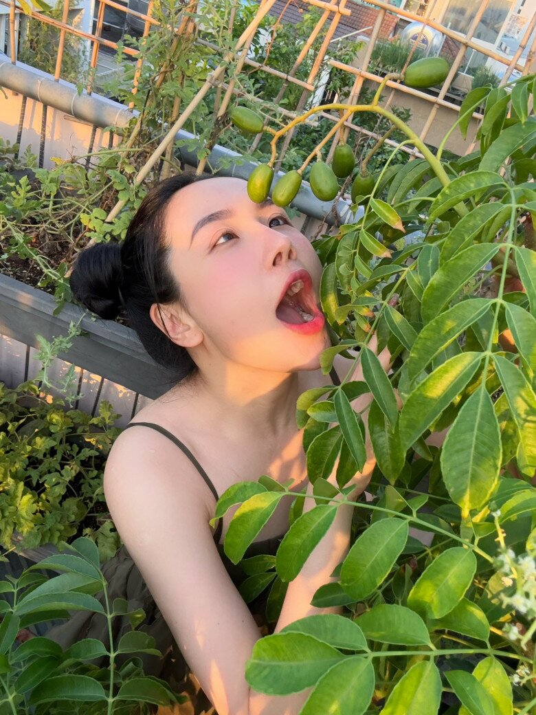 Khoảnh khắc hài hước khi cô nàng giả vờ định cắn trái cây đang còn trên cành. Vườn sân thượng của cô không thiếu những loại quả dân dã, gần gũi như cóc, khế, táo...