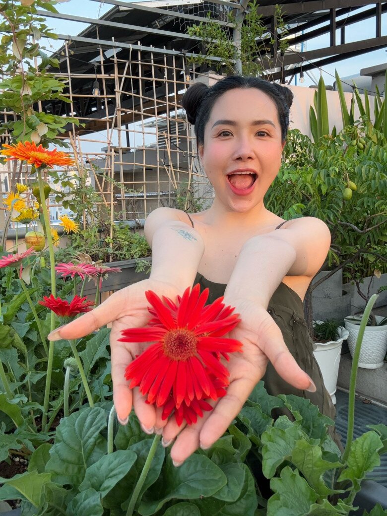 Cận cảnh những bông đồng tiền màu sắc nổi bật giữa nền xanh của rau lá. Bàn tay của Viên nâng niu từng bông hoa như cách cô chăm chút cho cả khu vườn này mỗi ngày.