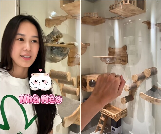 Tường kính dày, không gian rộng rãi giúp chủ nhân dễ quan sát và chơi đùa với thú cưng mọi lúc. Cô cho biết: “Nhiều bạn hỏi quá nên hôm nay mình chia sẻ về nhà của mèo. Tất cả mình làm bằng kính cường lực hết.