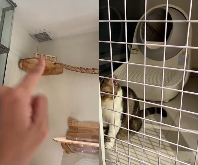 Mình nuôi tận 4 bé mèo và các bé rụng lông quá nên buộc phải làm một cái nhà riêng. Lâu lâu mình vẫn cho các em ra chơi. Ai có nhu cầu làm nhà mèo giống vợ chồng mình thì có thể tham khảo”, bà xã Anh Đức nói.