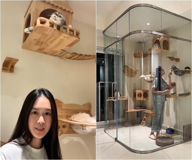 Căn phòng được thiết kế vừa để nuôi dạy, vừa là nơi giải stress cho cả chủ và mèo – người và thú cưng đều có không gian riêng nhưng gần gũi.