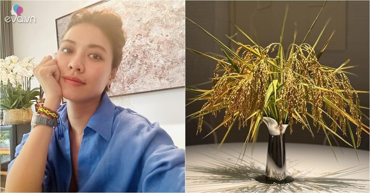 BTV Ngọc Trinh Biến Không Gian Sống Thành 'Tác Phẩm Điện Ảnh' Với Những Chi Tiết Độc Đáo Từ Đời Thường