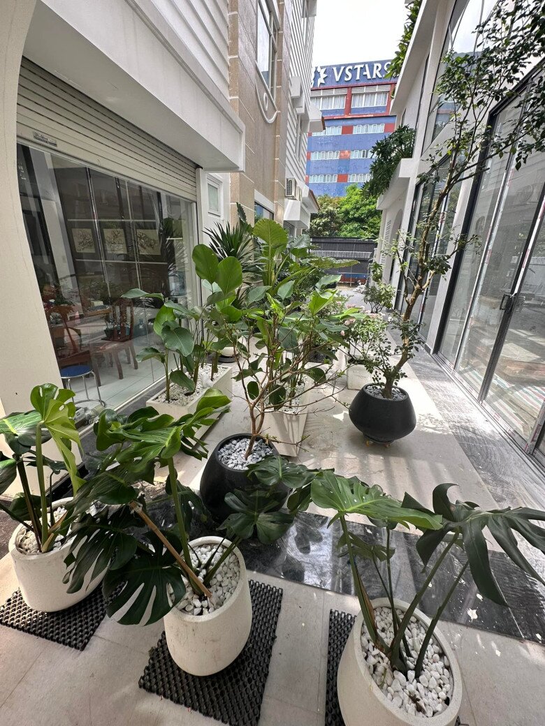 Cây lá to hơn người được Vân Trang trồng khắp ngóc ngách biệt thự 1.000m2 nhưng từng khiến cô phải amp;#34;khóc một dòng sôngamp;#34; - 12