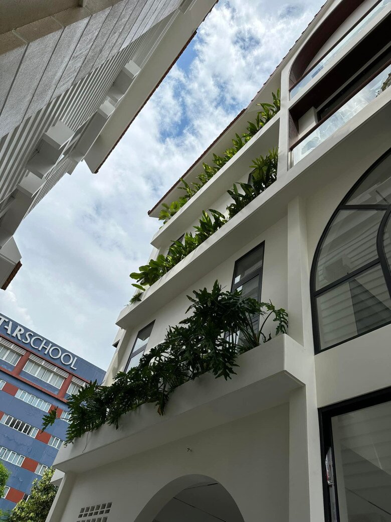 Cây lá to hơn người được Vân Trang trồng khắp ngóc ngách biệt thự 1.000m2 nhưng từng khiến cô phải amp;#34;khóc một dòng sôngamp;#34; - 13