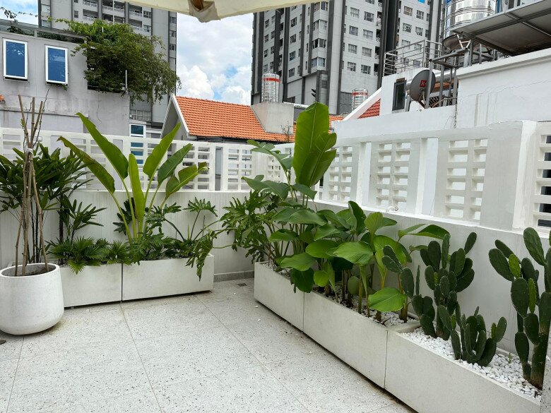 Cây lá to hơn người được Vân Trang trồng khắp ngóc ngách biệt thự 1.000m2 nhưng từng khiến cô phải amp;#34;khóc một dòng sôngamp;#34; - 11