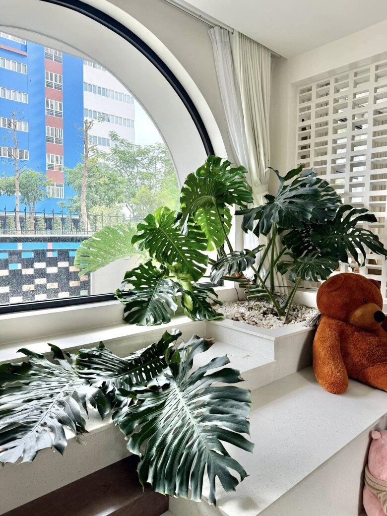 Nữ diễn viên Cô dâu đại chiến còn bày tỏ thêm cùng biểu tượng khuôn mặt buồn: Vì mình tin, cắt đi 1 lá, sẽ có 1 chiếc lá khác mọc ra.