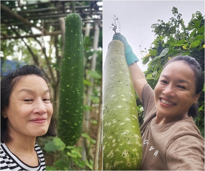 amp;#34;Mẹamp;#34; Phương Oanh - Hương Vị Tình Thân: Đời thực có khu vườn xanh mướt, khoe từng cọng rau giản dị - 3