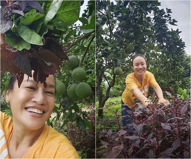 amp;#34;Mẹamp;#34; Phương Oanh - Hương Vị Tình Thân: Đời thực có khu vườn xanh mướt, khoe từng cọng rau giản dị - 6
