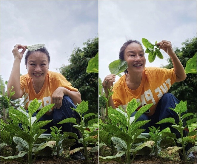 “Mồng tơi cho nó trơn mọi con đường khó khăn trước mặt nào cả nhà ơi!” – lời bình dí dỏm khiến mọi người bật cười với diễn viên Hương vị tình thân.