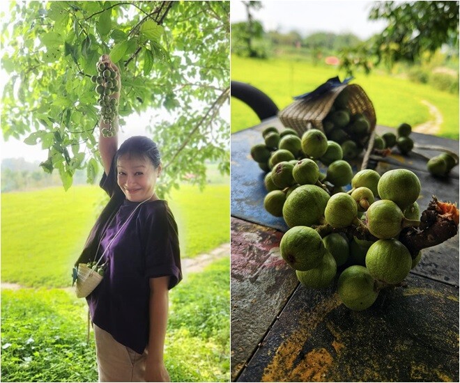 amp;#34;Mẹamp;#34; Phương Oanh - Hương Vị Tình Thân: Đời thực có khu vườn xanh mướt, khoe từng cọng rau giản dị - 9