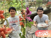 Nhà đẹp - Trọng Tấn thu hoạch loại quả tuổi thơ, cơ ngơi ở Thanh Hóa toàn thành phẩm "vườn ao chuồng" nhìn mà mê