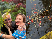 Nhà đẹp - Ca sĩ Thu Phượng khoe khu vườn của mẹ chồng tại Hà Lan: Ngập đầy hoa thơm, nhìn là thấy an yên