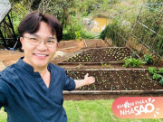 Nhà đẹp - Khu vườn rau sạch của "MC giàu nhất Việt Nam" tại cơ ngơi an yên ở Đà Lạt làm nhiều người thích thú
