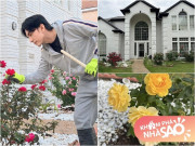 Nhà đẹp - Biệt thự Đan Trường sống sau khi ly hôn vợ: Hàng xóm nói hoa chết hết rồi, ai ngờ giờ bung nở khắp lối