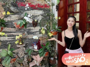 Nhà đẹp - Vườn lan "gây thương nhớ" trong căn nhà tuổi thơ của vợ Đăng Khôi tại Hà Nội