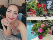 Nhà đẹp - Hồng Ngọc "Mắt nai cha cha cha" khoe hàng loạt cây trong biệt thự triệu đô, nhưng nhìn ảnh cuối ai cũng thót tim
