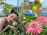 Nhà đẹp - "Bà trùm nông sản" hot mạng xã hội khoe khu vườn sân thượng đủ hoa trái khiến ai cũng phát thèm