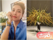 Nhà đẹp - BTV "giàu nhất VTV" cắm vào bình… cả sự ấm no, không gian sống đẳng cấp như tác phẩm điện ảnh