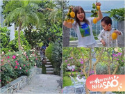 Nhà đẹp - Khu vườn mùa hè ở biệt thự trên núi của vợ chồng diễn viên Mạnh Trường: Hoa giăng lối, cây trĩu quả