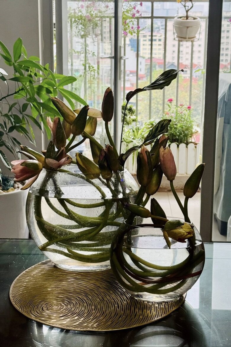 Cô dí dỏm: Không đỏng đảnh thì không phải sún. Ngủ thì có kiểu chơi của ngủ. Chị đây nhạc nào cũng nhảy nhé, cứ bướng với chị à?