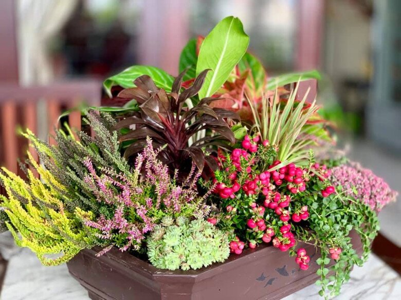 O khoái vừa đẹp vừa bền chứ không lãng phí như mua 1 bó hoa vài triệu bạc xong được năm ba ngày giục thùng rác, vừa phí vừa ô nhiễm môi trường, cô bày tỏ.