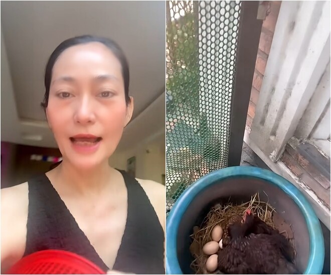 Nghệ sĩ Hạnh Thúy cầm rổ trứng đầy, khoe niềm vui nhỏ bé từ khu vườn tự tay chăm sóc. Cô cho biết đàn gà mua đợt đi quay phim, sau đó đem về nuôi.