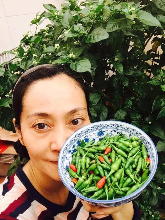 Nữ NSƯT khoe khu vườn nhỏ giản dị mà nhiều cây trái, rổ trứng gà đầy ắp nhưng dân mạng lại thắc mắc - 15