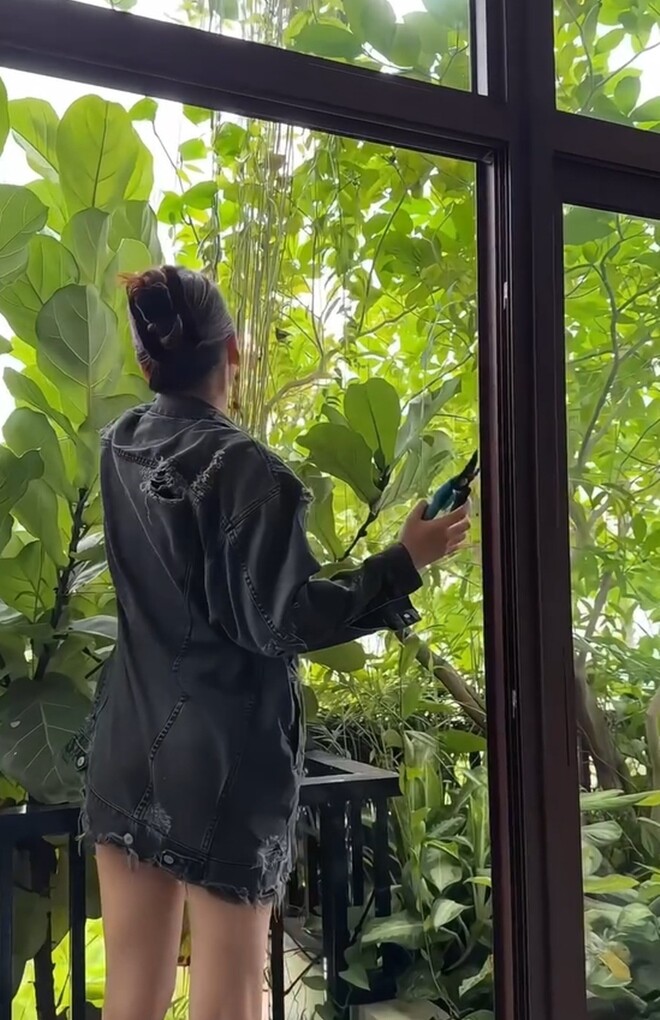 Không chỉ bao bọc cẩn thận từng món nội thất, nữ ca sĩ còn tự tay cắt tỉa cây cảnh trong nhà để đảm bảo không gian luôn sạch sẽ và gọn gàng sau kỳ nghỉ. Á hậu kiêm ca sĩ 8x cho rằng: “Nếu không cắt thì lúc về nó mọc đến đỉnh nóc luôn”.