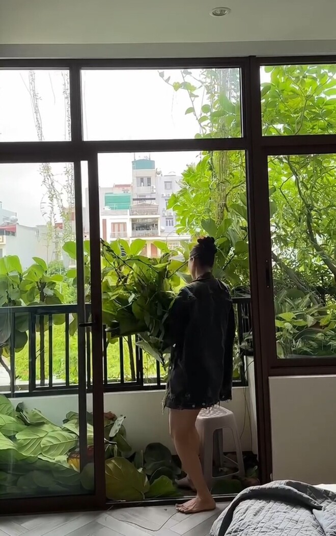 Ban công rợp bóng cây xanh được Quế Vân tự tay cắt tỉa từng nhành lá. Cô gọi mình là “bác nông dân” chính hiệu. Cô cho rằng nơi đấy đúng là phong thủy tốt, đất lành chim đậu, cây cối lúc nào cũng đâm chòi nảy lộc.