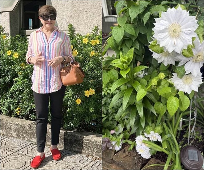 Hoa clematis trắng (hoa ông lão) nở rộ trong vườn nhà bà Liên Phạm với cánh hoa xếp tầng và nhụy vàng nhạt đặc trưng. Đây là loài hoa leo thường được trồng cạnh hiên nhà hoặc giàn gỗ.