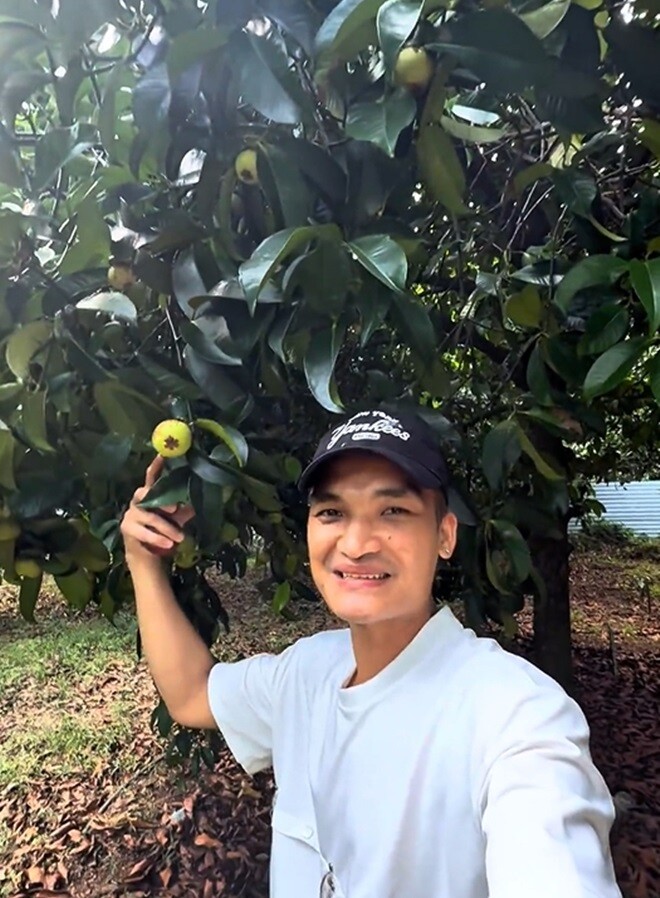 Mạc Văn Khoa  giữa khu vườn nhiều cây trái của Hoài Linh. Anh hào hứng hái măng cụt về cho vợ con ăn. Ngoài những trái chín, nam diễn viên còn hái quả xanh về để làm gỏi gà măng cụt.