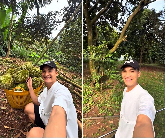 Trồng tre, trúc có thực sự mang lại tài lộc và vận may trong gia đình