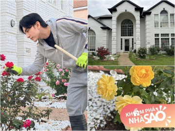 Biệt thự Đan Trường sống sau khi ly hôn vợ: Hàng xóm nói hoa chết hết rồi, ai ngờ giờ bung nở khắp lối