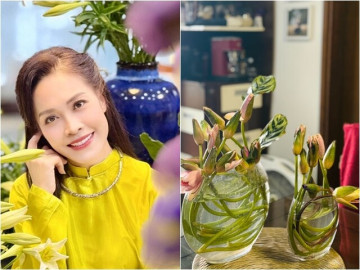 Nữ BTV VTV cắm hoa ngập nhà, loài hoa đỏng đảnh ngủ gục cũng không làm khó được bà mẹ 2 con