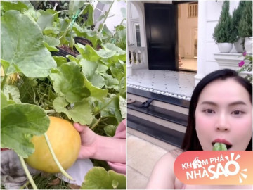 Vợ Hoa hậu của NSƯT Vũ Luân khoe vườn rau ê hề trong biệt thự 200 tỷ, ăn dưa ngay tại vườn