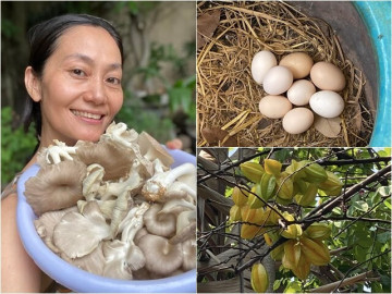 Nữ NSƯT khoe khu vườn nhỏ giản dị mà nhiều cây trái, rổ trứng gà đầy ắp nhưng dân mạng lại thắc mắc