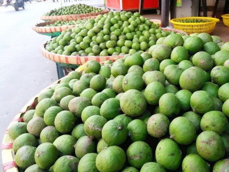 Lifestyle - Ở Hà Nội có loại đặc sản đã vào mùa, tên gọi hay bị nhầm lẫn, là “biểu tượng” cho mối tình đầu xanh non chua chát