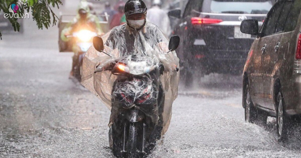 Báo Gió Bấc 'Nhấn Chìm' Miền Bắc: Nhiệt Độ 'La Dám' Giảm, Hà Nội 'Đón Bão' Mưa Dông!