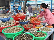 Lifestyle - Cầm 200k “ăn sập” thiên đường ốc Sài Gòn, quán lớn quán nhỏ món gì cũng có, chỗ nào cũng đông nghẹt 