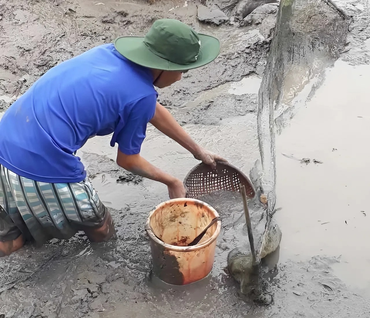 Anh Lưu thành công với nghề nuôi lươn giống