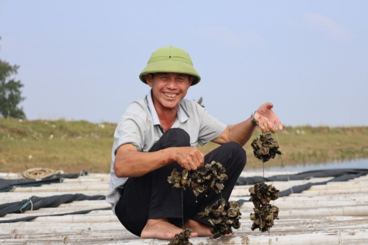 Anh Thông thoát nghèo thành công nhờ con hàu