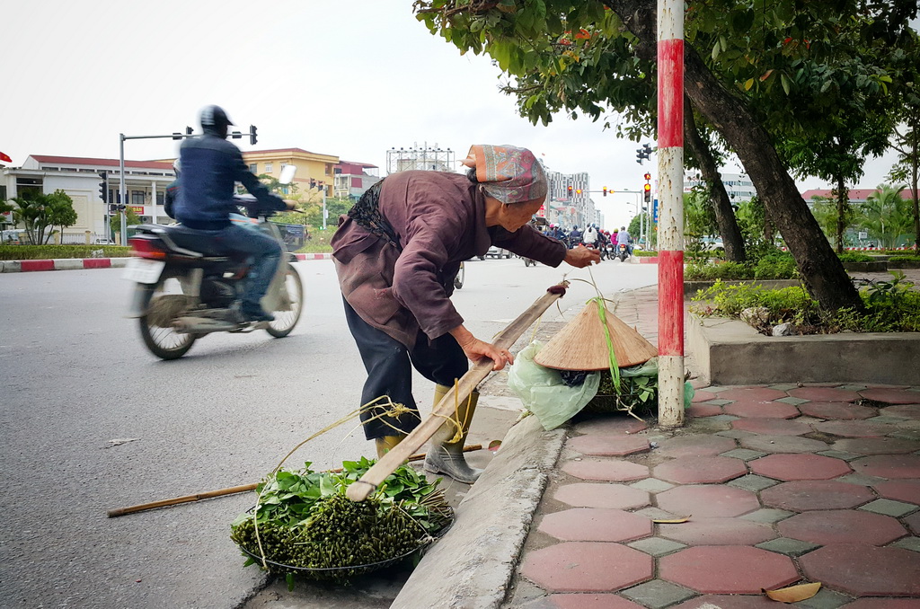 Mưu sinh với mớ rau chỉ vài nghìn đồng chưa khi nào là dễ dàng (Ảnh minh họa)