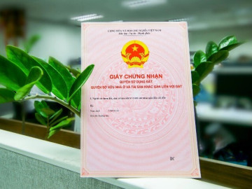Quy định về việc cấp sổ đỏ khi không có hộ khẩu ở địa phương