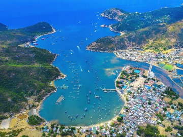 Tỉnh nào có diện tích nhỏ nhất miền Trung, được mệnh danh là thủ phủ nho - kinh đô cừu nổi tiếng ở Việt Nam?