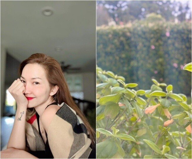 Nữ diễn viên dành nhiều thời gian chăm sóc cho khu vườn nhỏ ngập tràn hoa trong căn nhà ở Mỹ.