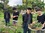 Giải trí - Lý Hải dạy con trai 14 tuổi nhổ cỏ, hái rau tại vườn ớt đắt nhất thế giới