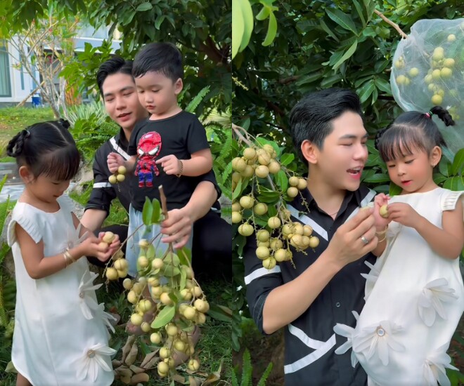 Thanh Đoàn khoe vườn nhãn trĩu quả trong biệt thự ở Đồng Tháp.