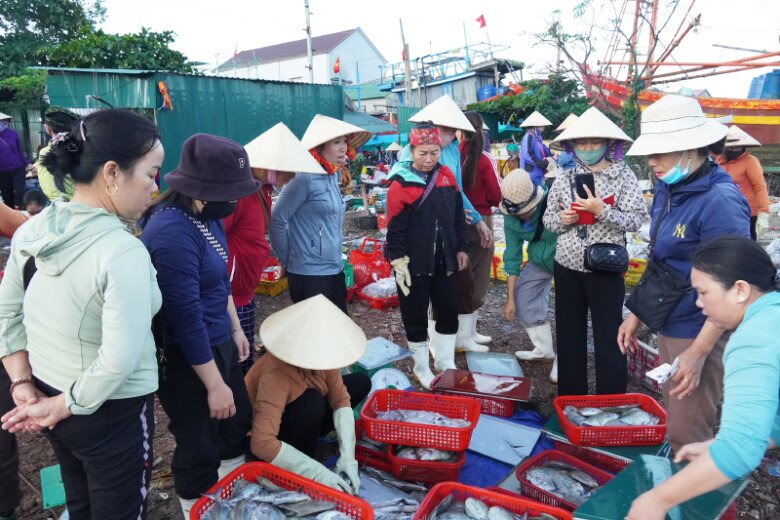 Mách bạn khu chợ bán hải sản lâu đời nhất Quảng Bình: Tồn tại gần 400 năm, chợ chủ yếu toàn phụ nữ vì 1 lý do - 3