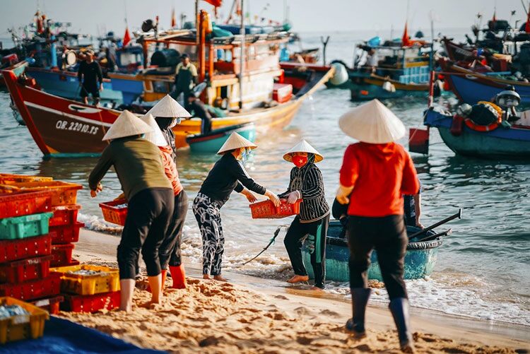 Mách bạn khu chợ bán hải sản lâu đời nhất Quảng Bình: Tồn tại gần 400 năm, chợ chủ yếu toàn phụ nữ vì 1 lý do - 2